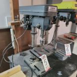 CENTRAL MACHINERY 10" BENCHTOP DRILL PRESS, 12-SPEED, S/N 366851844