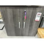 2-DOOR CABINET W/ (4) KEYS, TOP MEASURES 29-1/2" X 23-1/2"