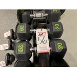 LOT - (2) 20 LB DUMBBELLS, (NOTE: SOLD SUBJECT TO BULK BID FOR ENTIRE FACILITY - SEE LOT 382)