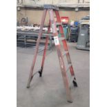 WERNER 6' LADDER, FIBERGLASS