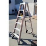 WERNER 6' FIBERGLASS LADDER