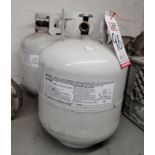 LOT - (2) 20 LB LIQUID PROPANE TANKS