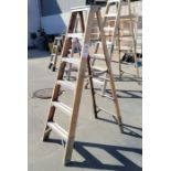 WERNER 6' FIBERGLASS LADDER