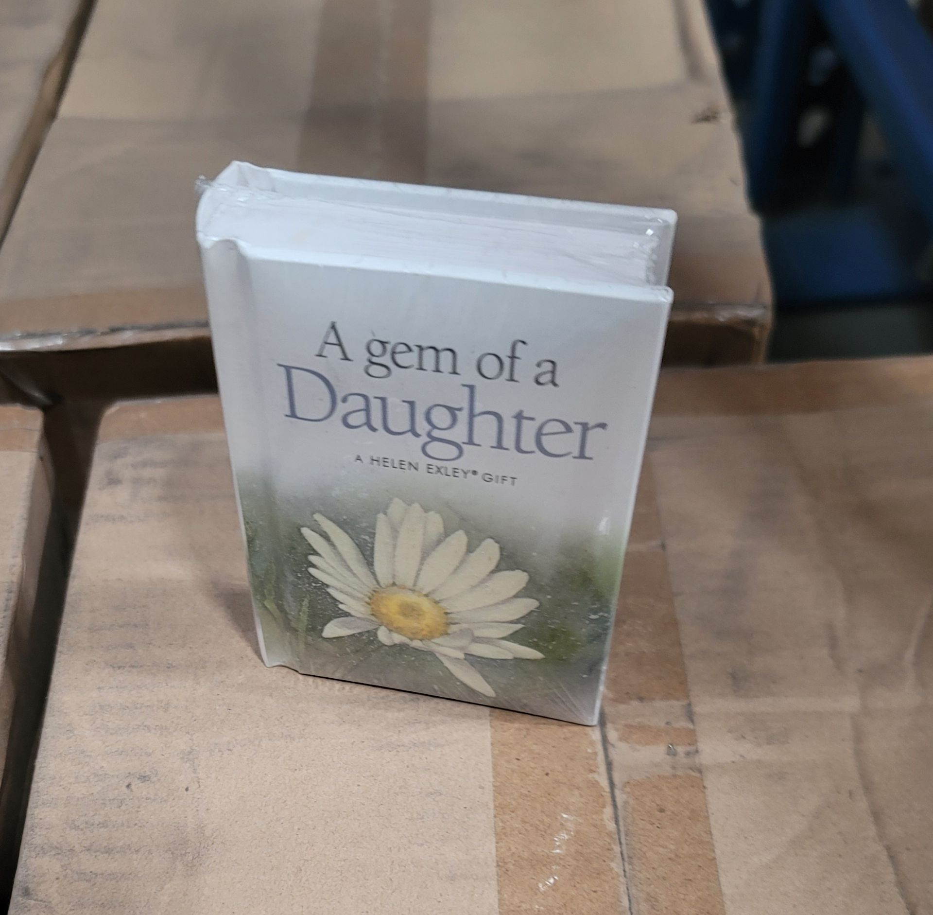 LOT - MIXED PALLET OF (320) "A GEM OF A DAUGHTER" BOOK, (4 CASES/80 PER CASE); (120) 2-PC MESH