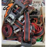 LOT - RATCHET STRAP TIE DOWNS