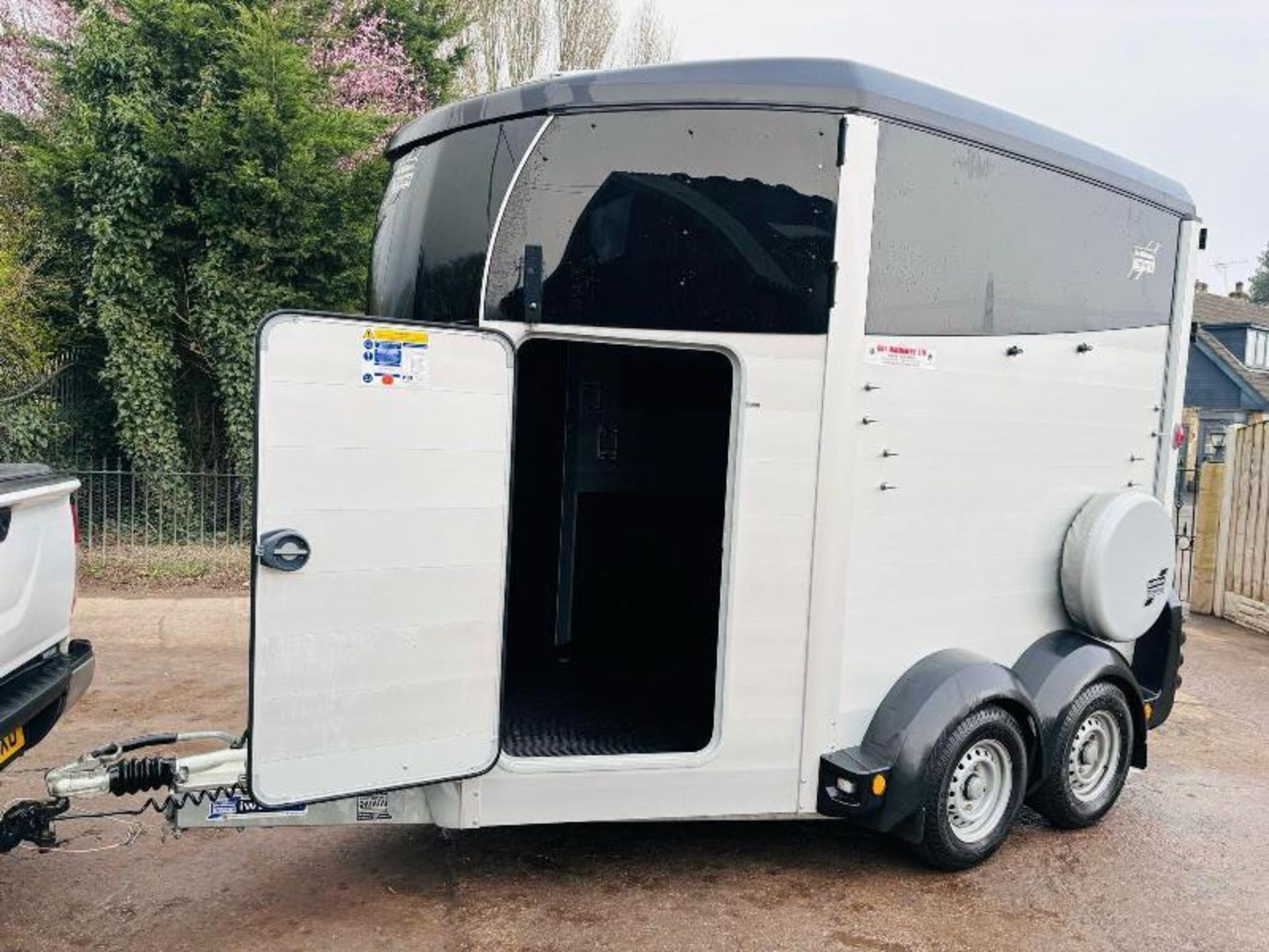 IFOR WILLIAMS TWIN AXLE HORSE BOX *YEAR 2022* C/W PARTITION  - Image 5 of 19