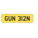 ''GUN 312N'' PRIVATE REGISTRATION