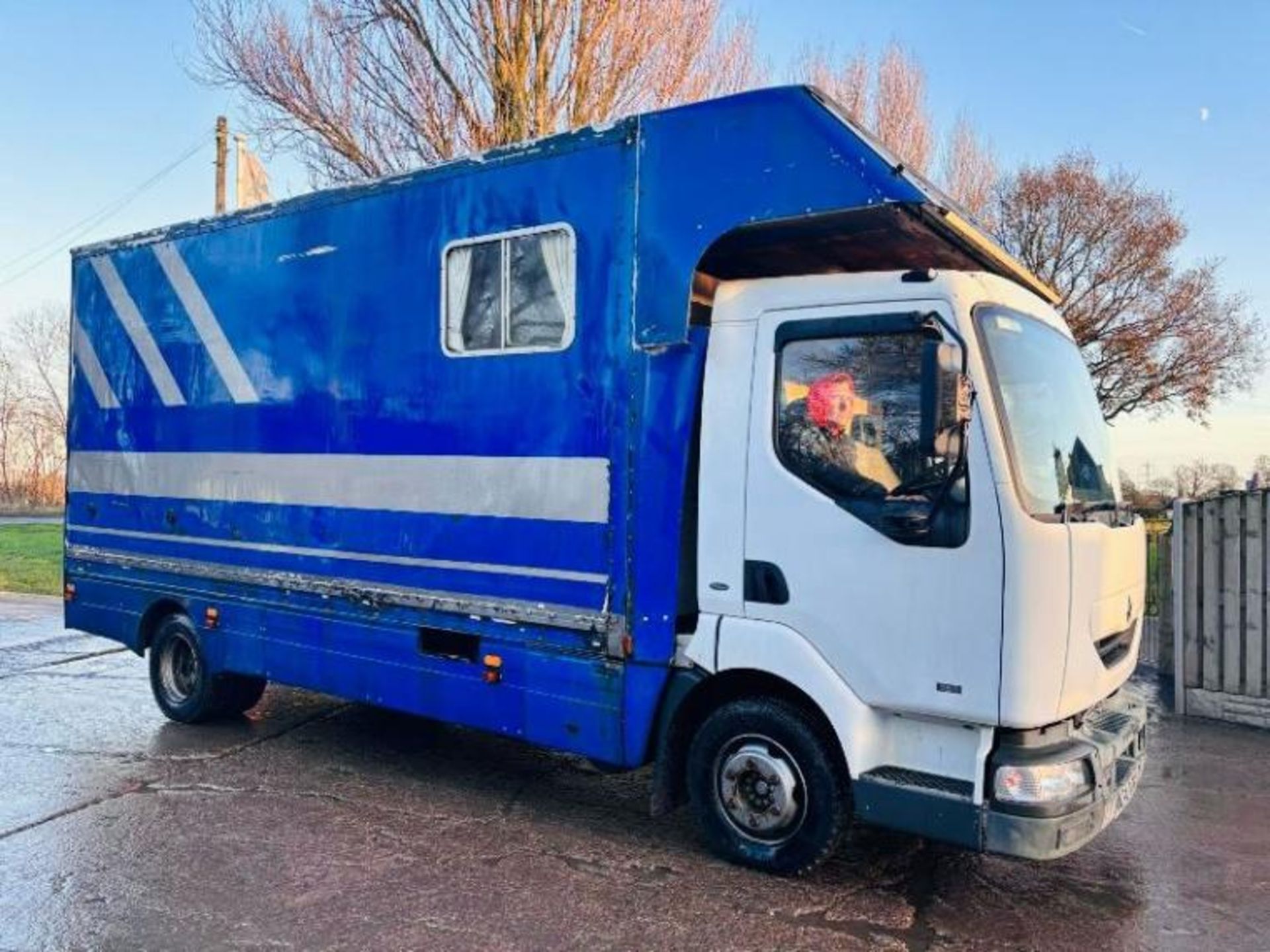 RENAULT 42AEA1 HORSE BOX LORRY C/W MANUAL GEAR BOX