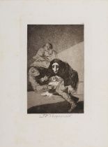 Francisco José de Goya y Lucientes: "El Vergonzoso"