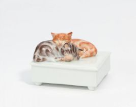 Meissen: Hocker mit schlafenden Kätzchen