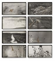 Anselm Kiefer: Unfruchtbare Landschaften II