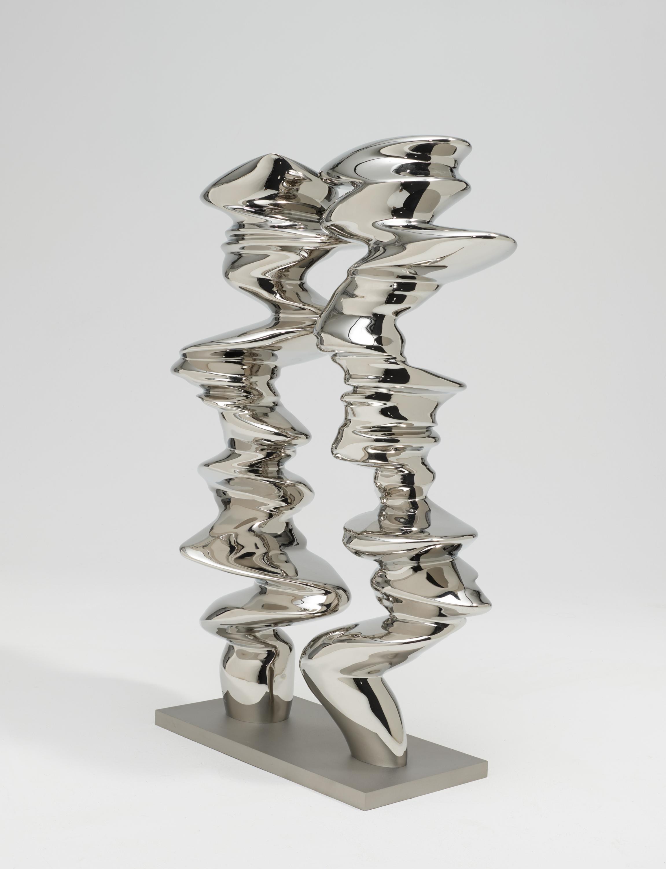 Tony Cragg: Points of View - Image 2 of 5