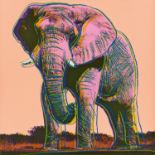 Andy Warhol: African Elephant