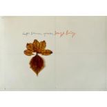 Joseph Beuys: Laßt Blumen sprechen