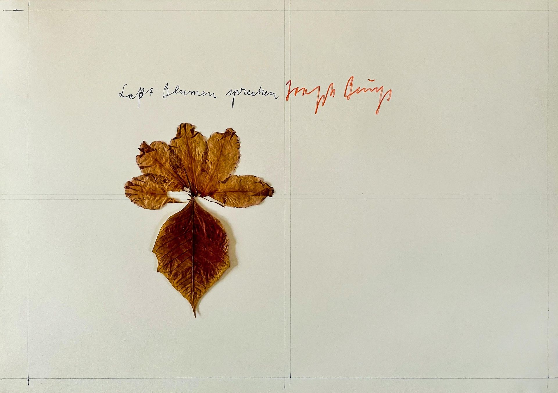 Joseph Beuys: Laßt Blumen sprechen