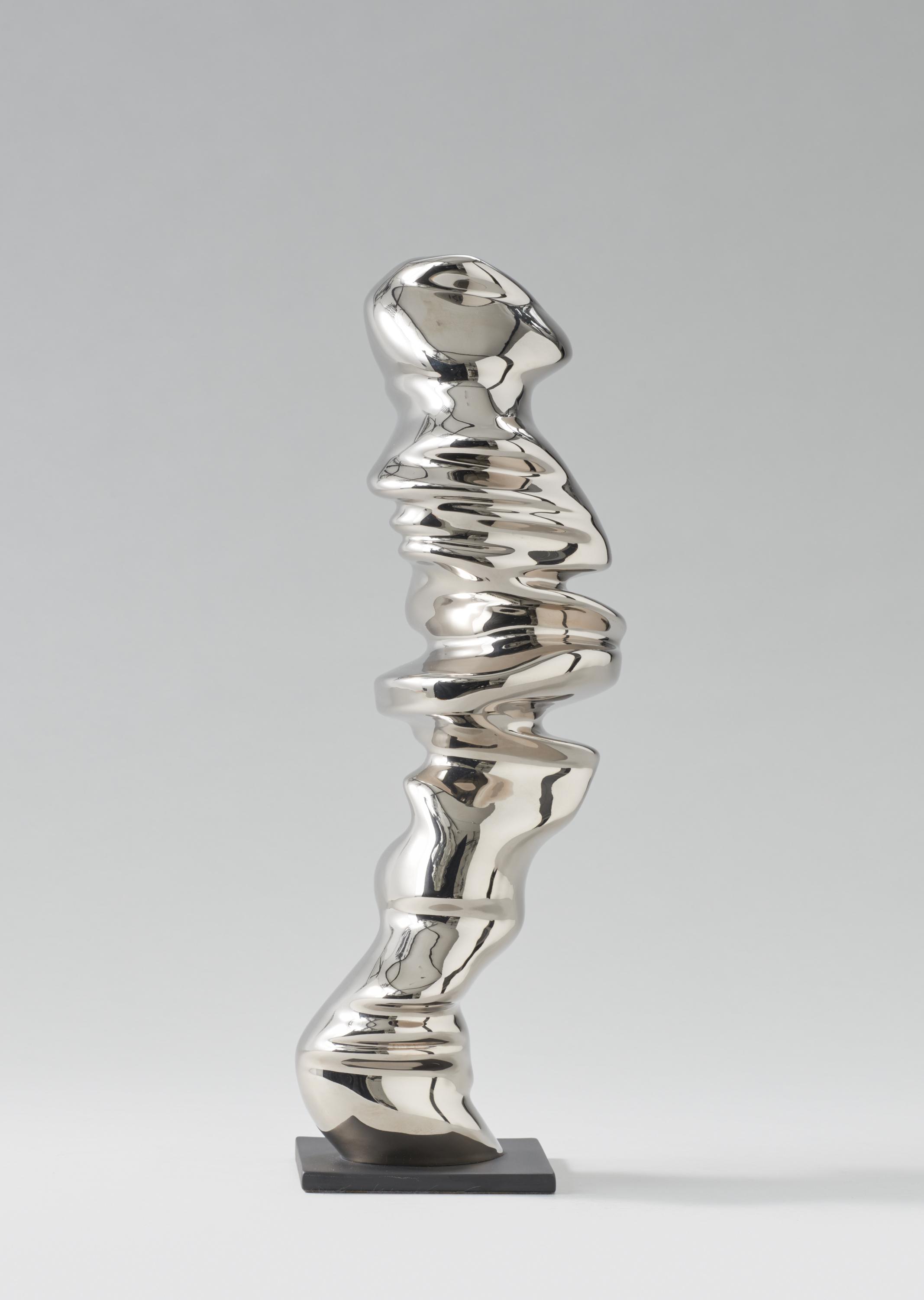 Tony Cragg: Points of View - Image 4 of 4