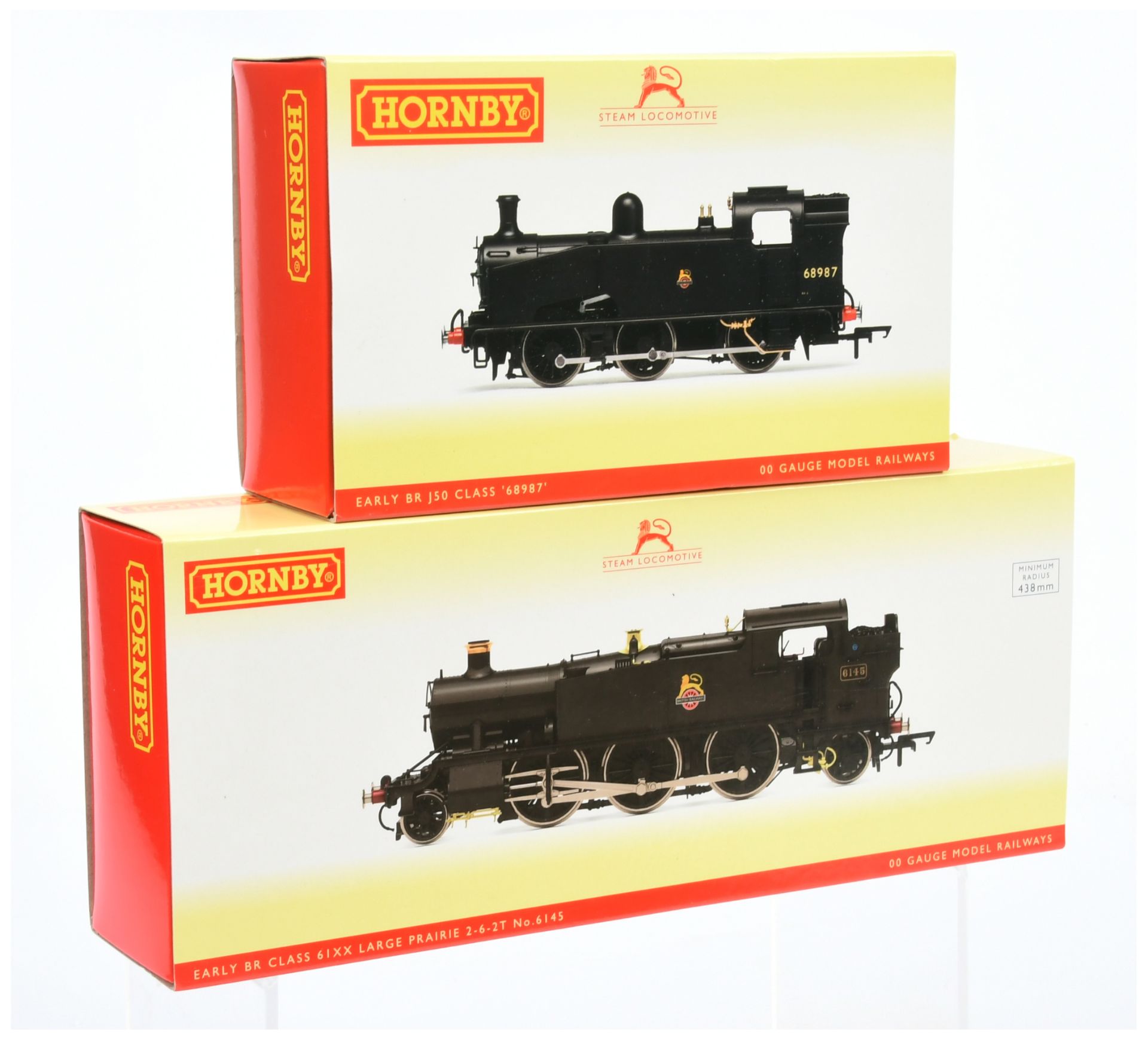 Hornby (China) pair of BR Steam outline Locomotives