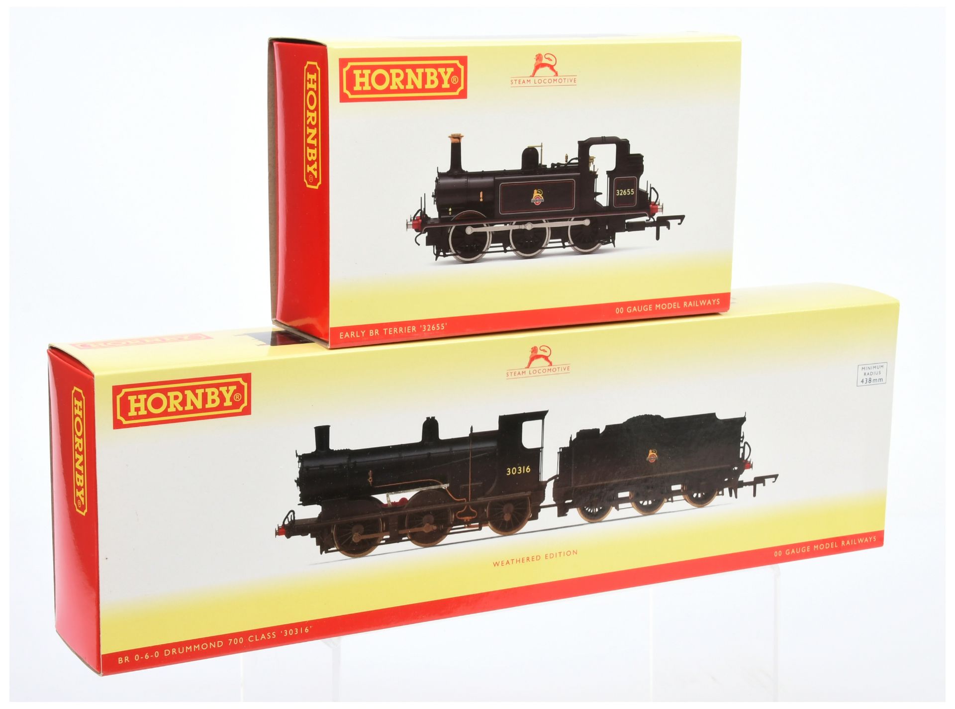 Hornby (China) pair of BR Steam outline Locomotives