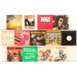 Roots Reggae LPs and 12" Singles - 