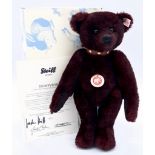 Steiff collar teddy bear