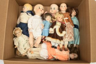 Collection of modern bisque dolls