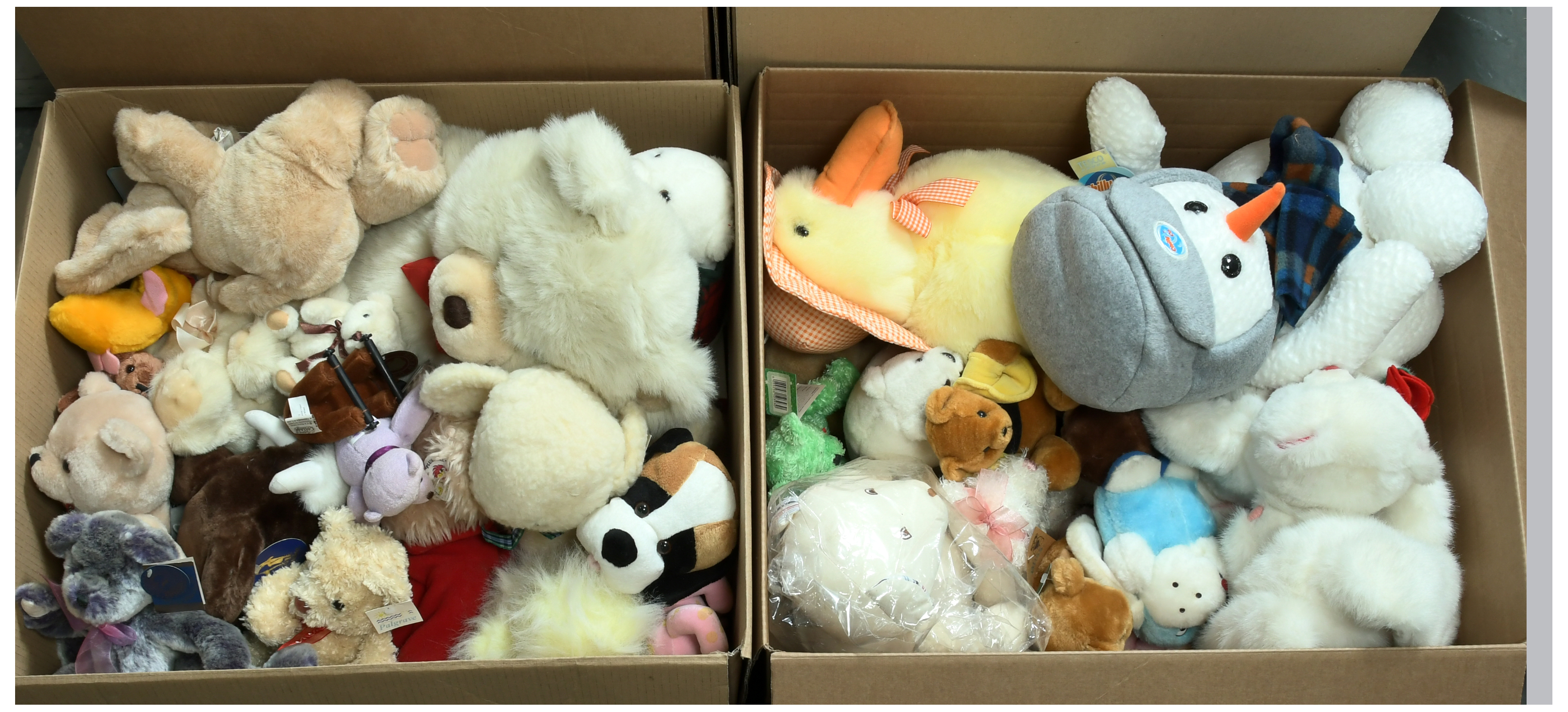 Collection of plush teddy bears - Image 3 of 4