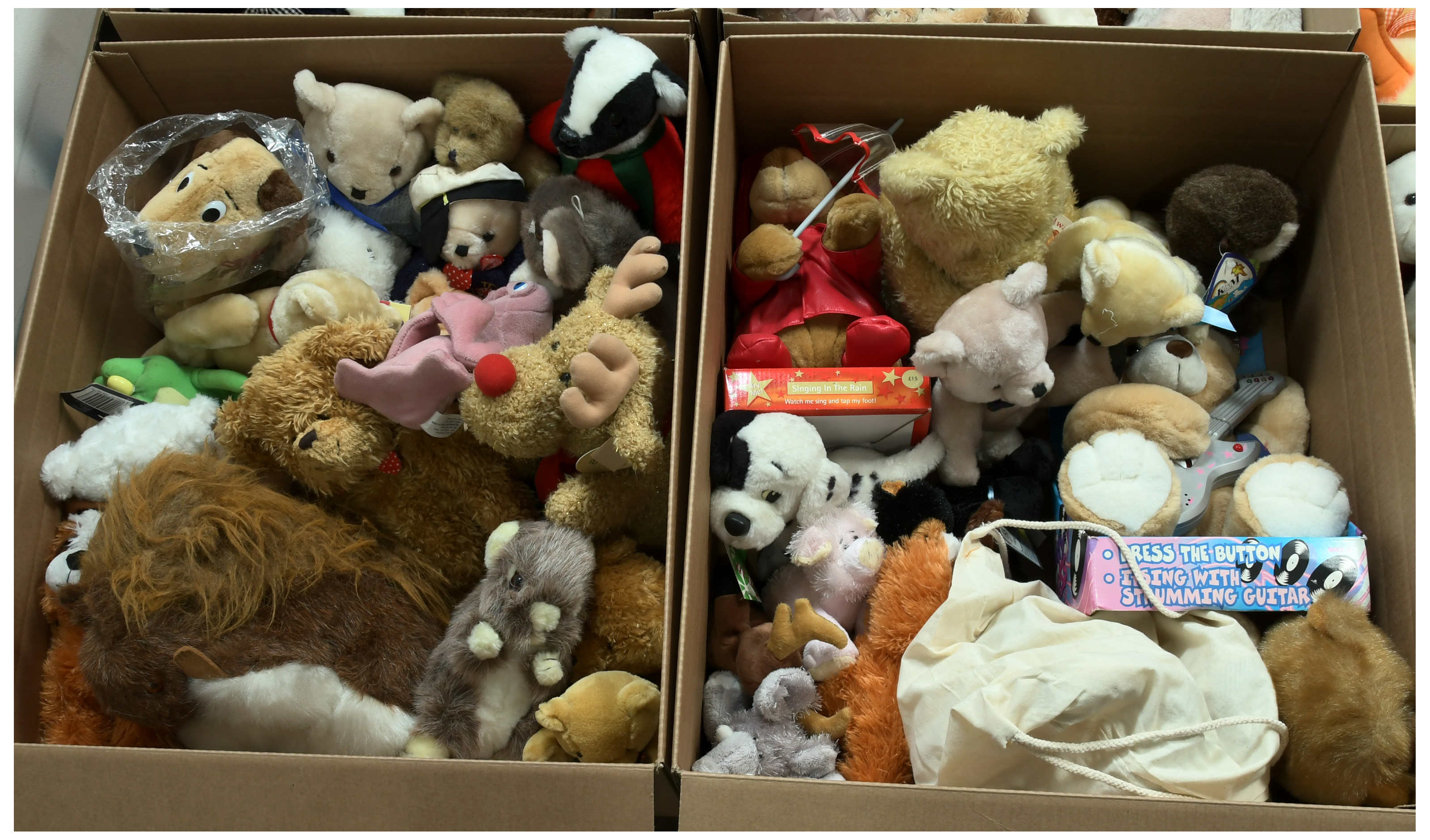 Collection of plush teddy bears - Image 4 of 4