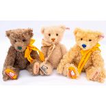 Steiff teddy bear trio 