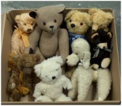 Collection of vintage and modern teddy bears