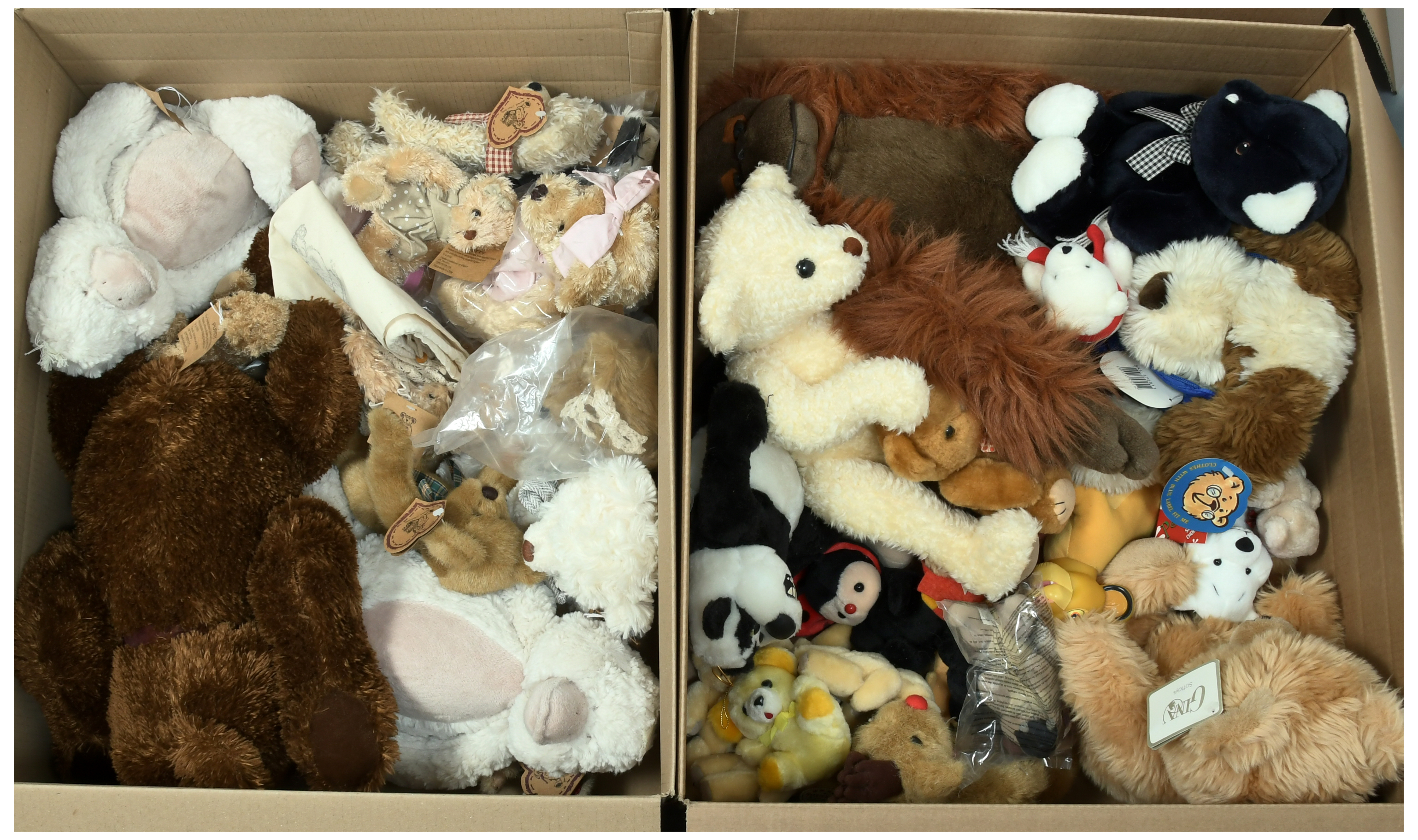 Collection of plush teddy bears - Image 2 of 4