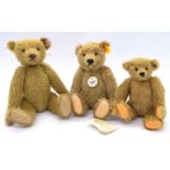 Steiff trio of teddy bears 