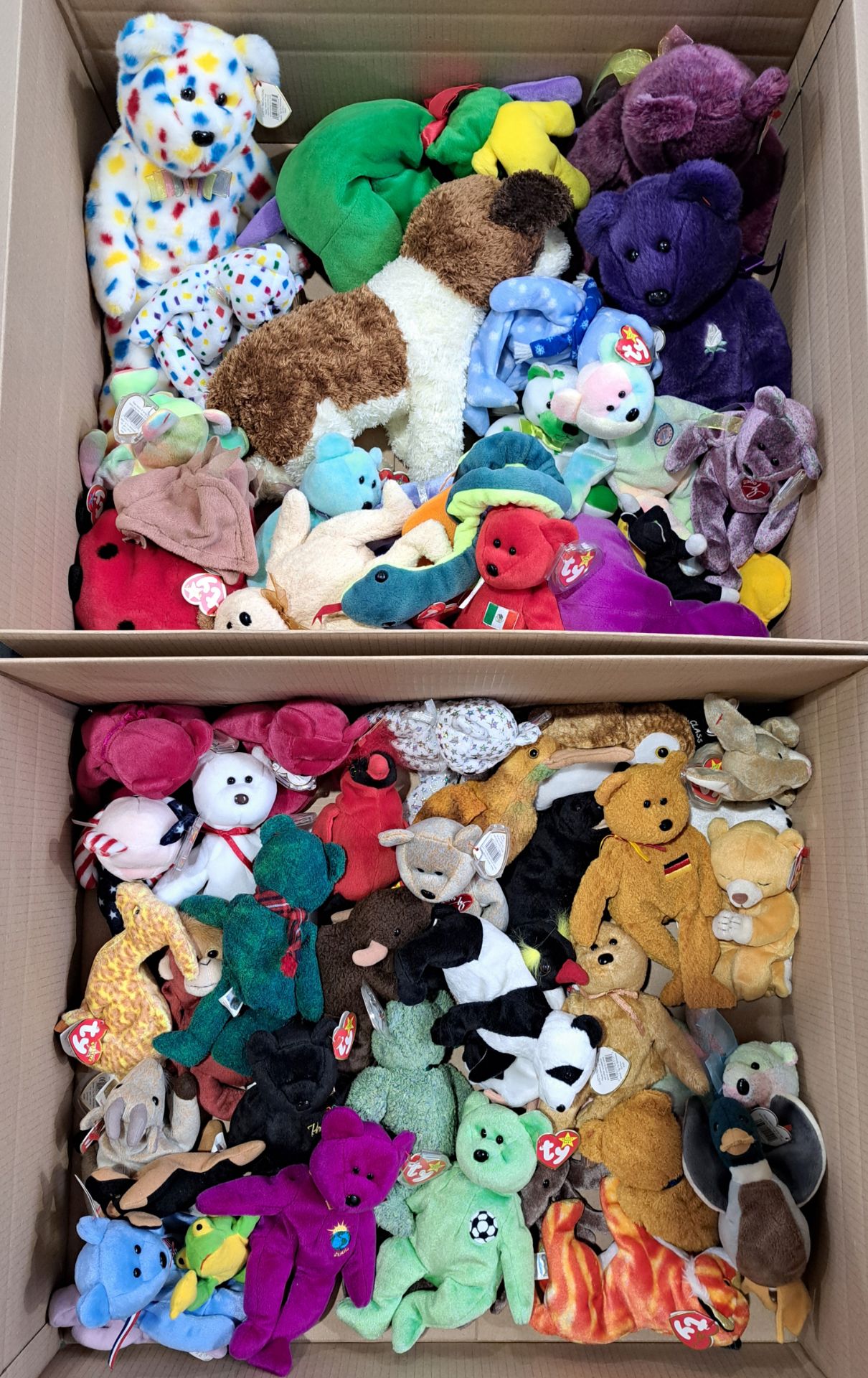 TY beanie babies/buddies