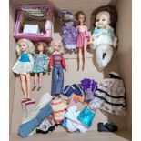 Pedigree Sindy & Patch plus others