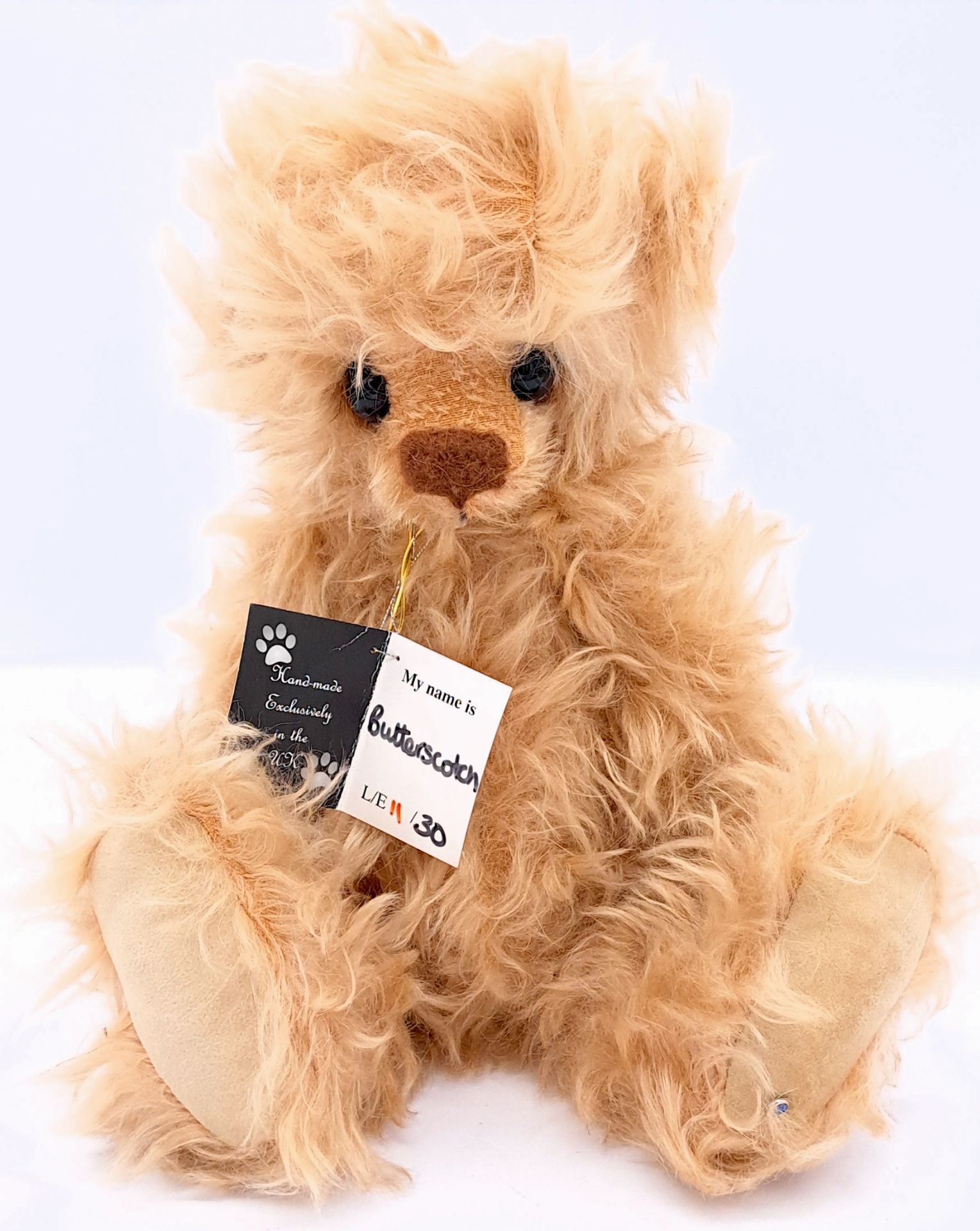 Kaycee Bears Artist teddy bear