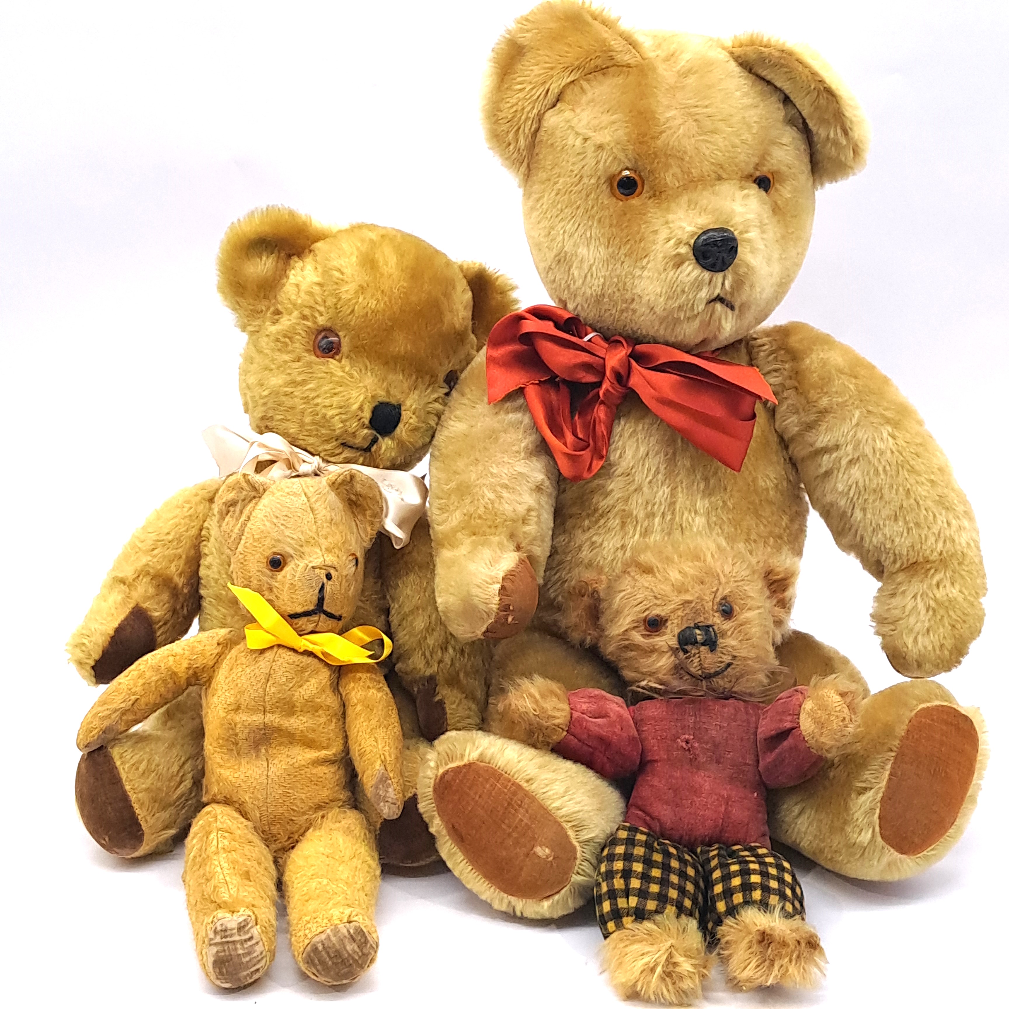 Pedigree collection of vintage teddy bears