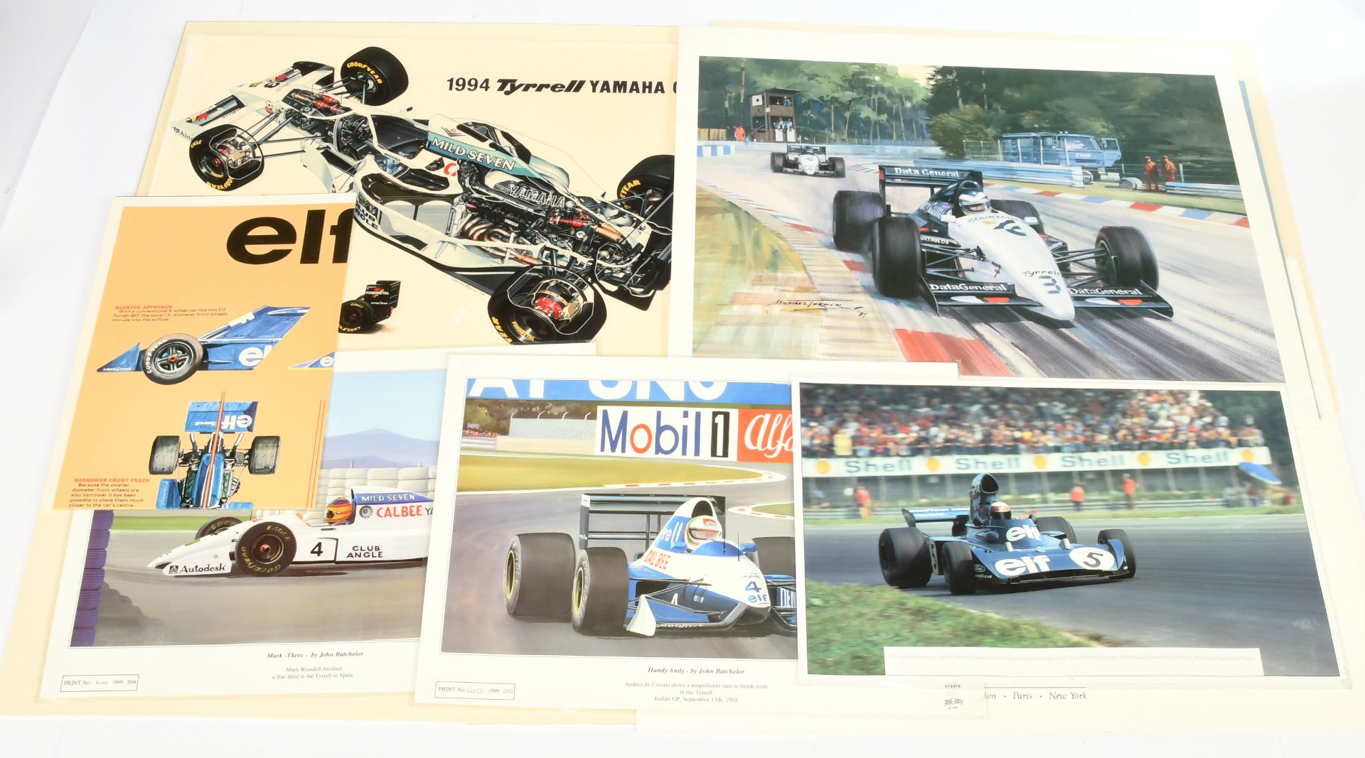 Various group of Tyrrell F1 car paints/mounted & unmounted  - Bild 2 aus 2