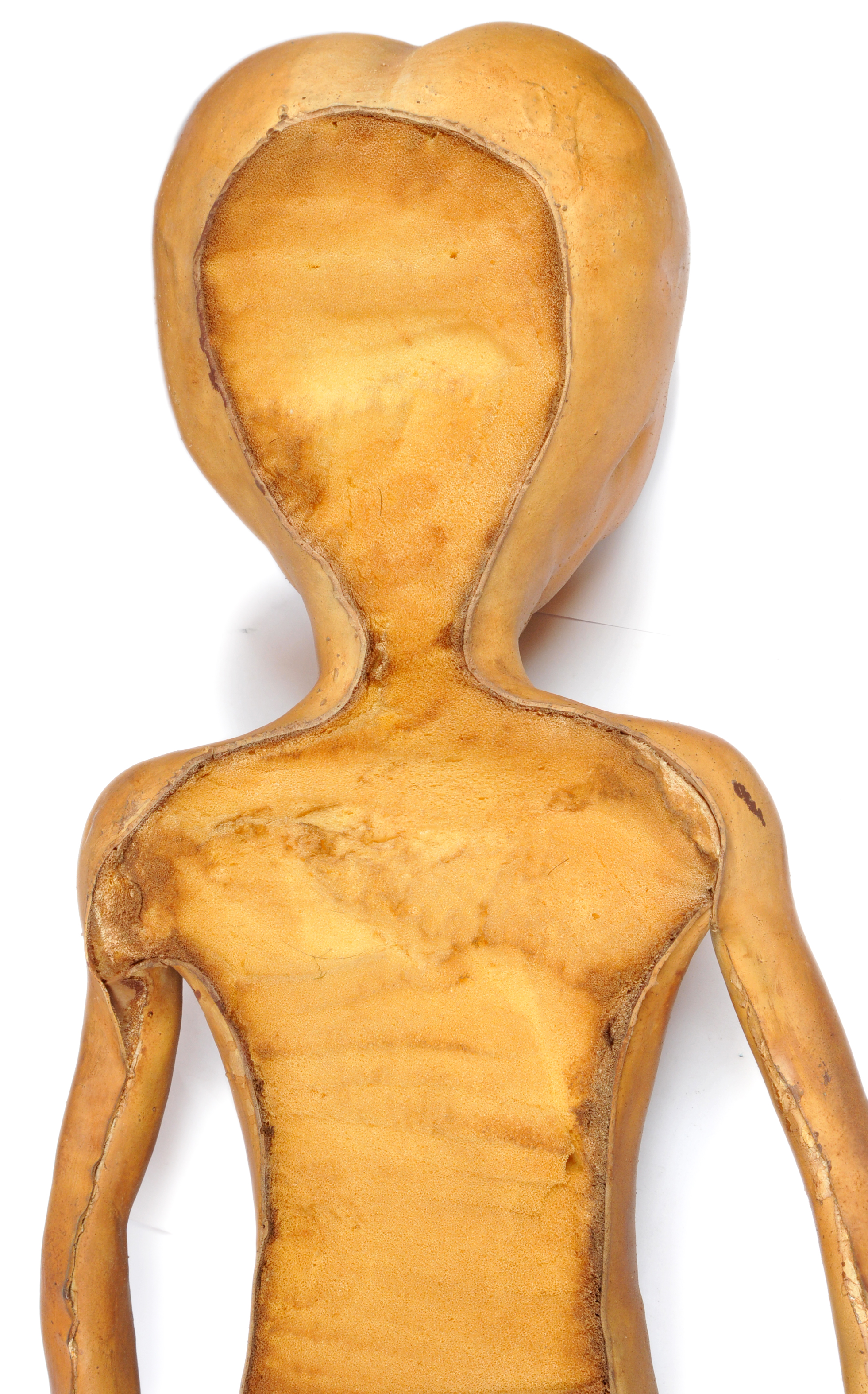 Life Size Alien Prop Used in The X-Files 1993 to 2016 - Image 6 of 8