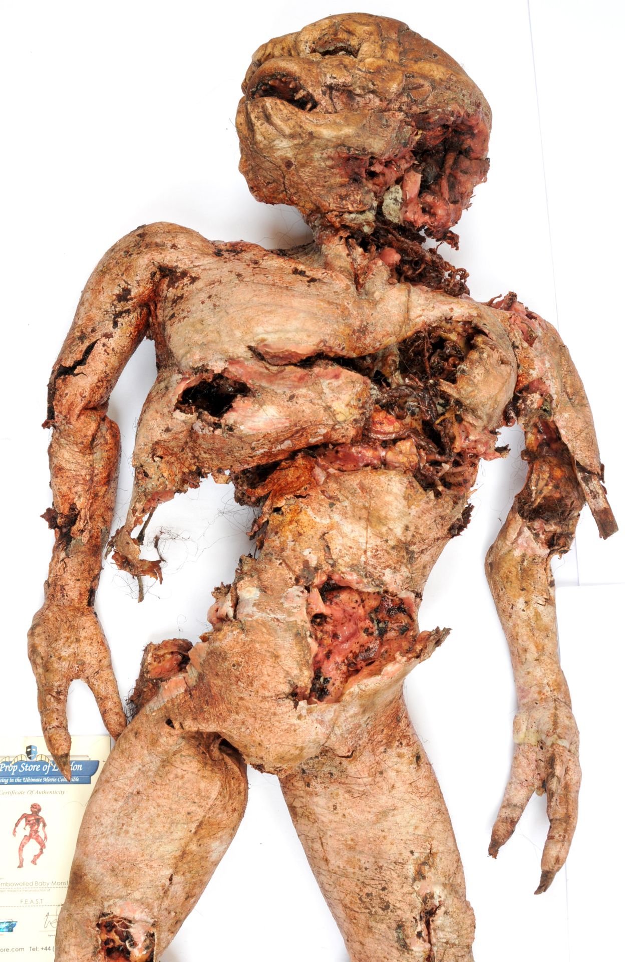 Disembowelled Baby Monster Prop used in the production of the Horror Movie F.E.A.S.T - Bild 3 aus 5