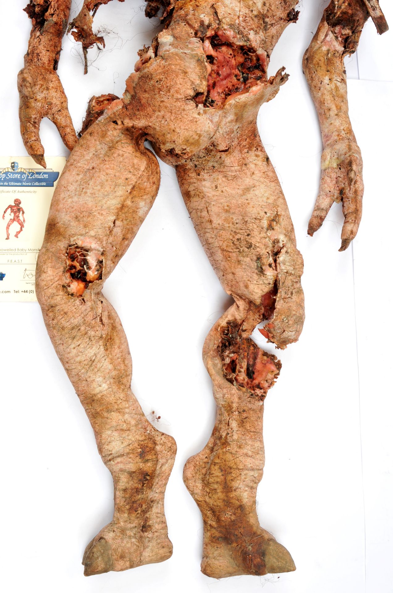 Disembowelled Baby Monster Prop used in the production of the Horror Movie F.E.A.S.T - Bild 4 aus 5