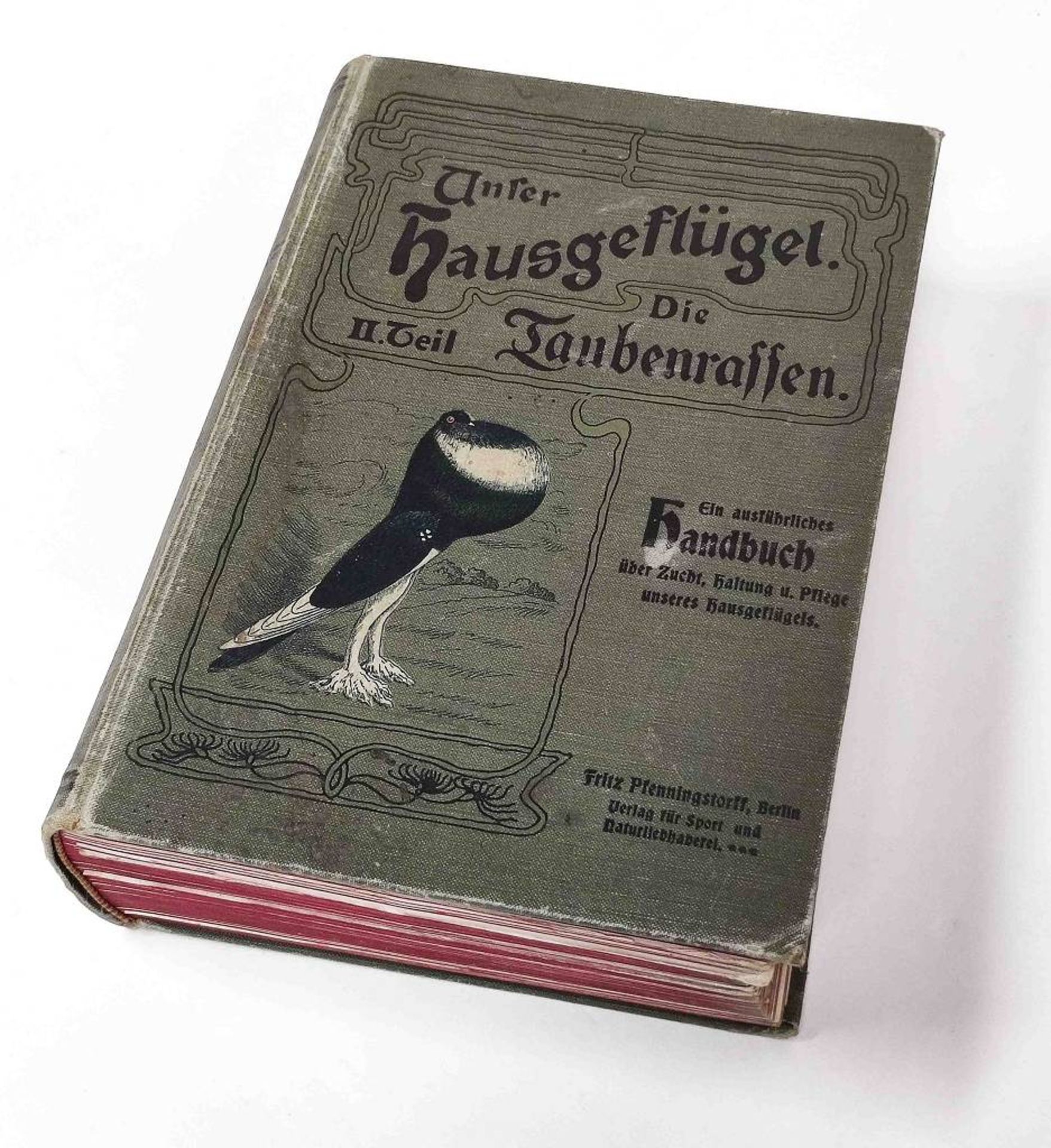 Antikes Buch Unser Hausgeflügel Taubenrassen