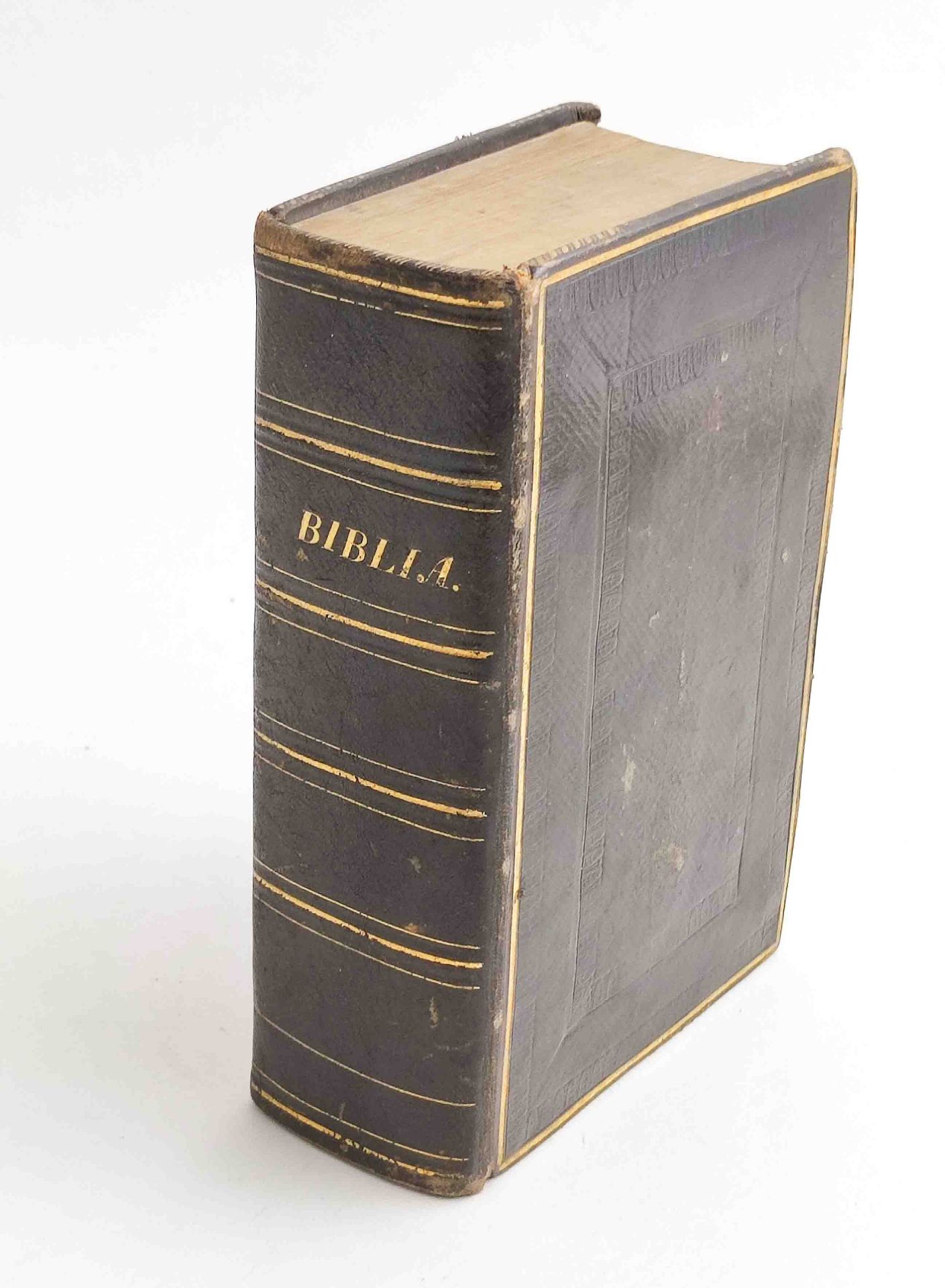 Antike Familienbibel 1834