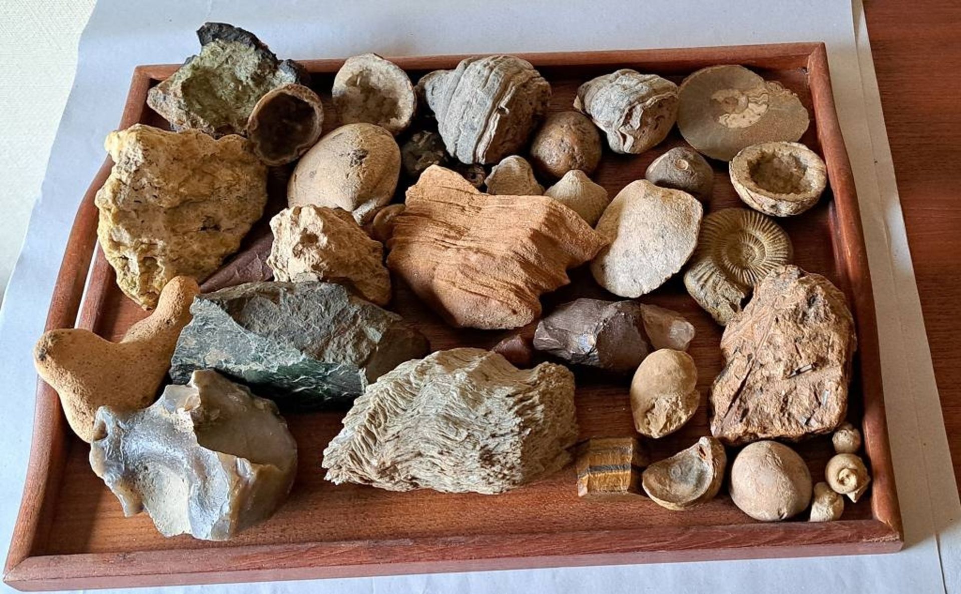 Tablett mit div. Mineralien, Fossilien etc.