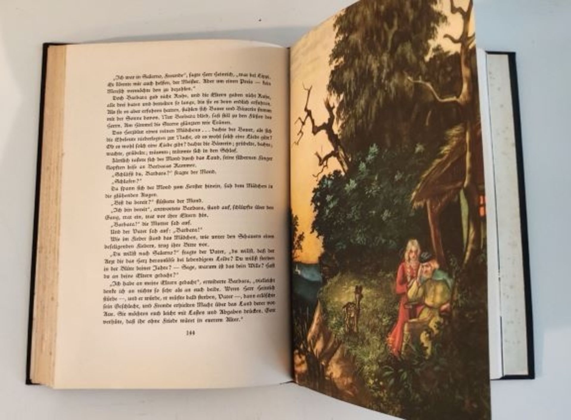 Antikes Märchenbuch Landfahrer Ruprecht