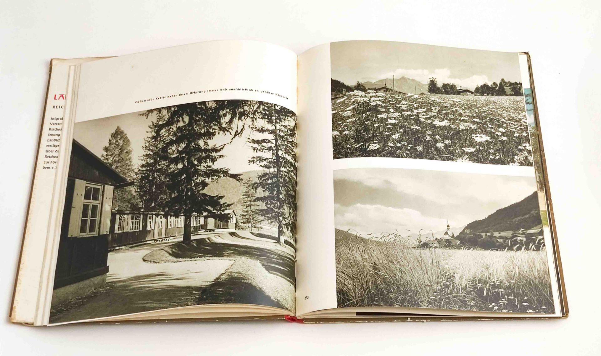 WKII Buch Holzhaus im Landschaftsraum - Image 2 of 3