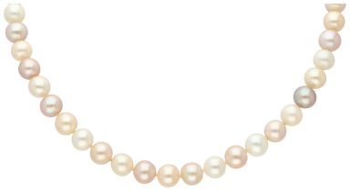 No Reserve - Cultivated pearl necklace with 18K white gold clasp.