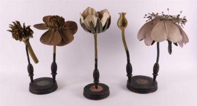 Four various wooden study flower models, early 20th century