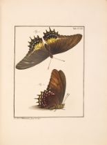 A. J. Rösel v. Rosenhof, De natuurlyke historie der Insecten. 4 in 8 Bdn + 1 Suppl. 1764-1788.
