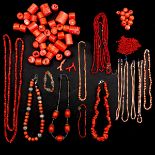 A Collection of Red Coral