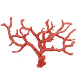 A Coral Sculpture