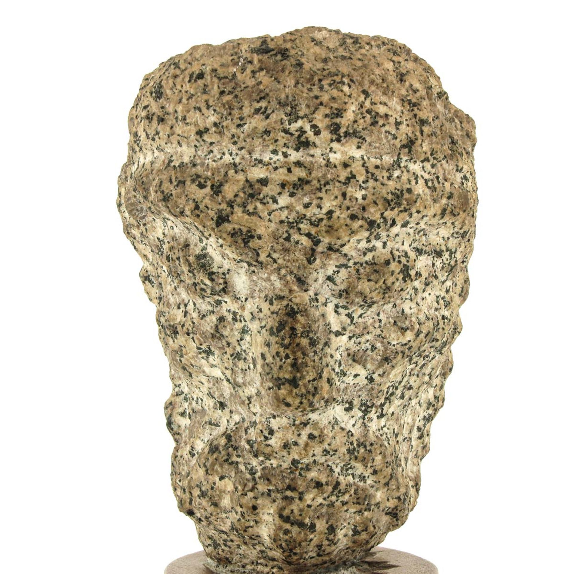 A Sculpture of a Roman Head - Image 7 of 8